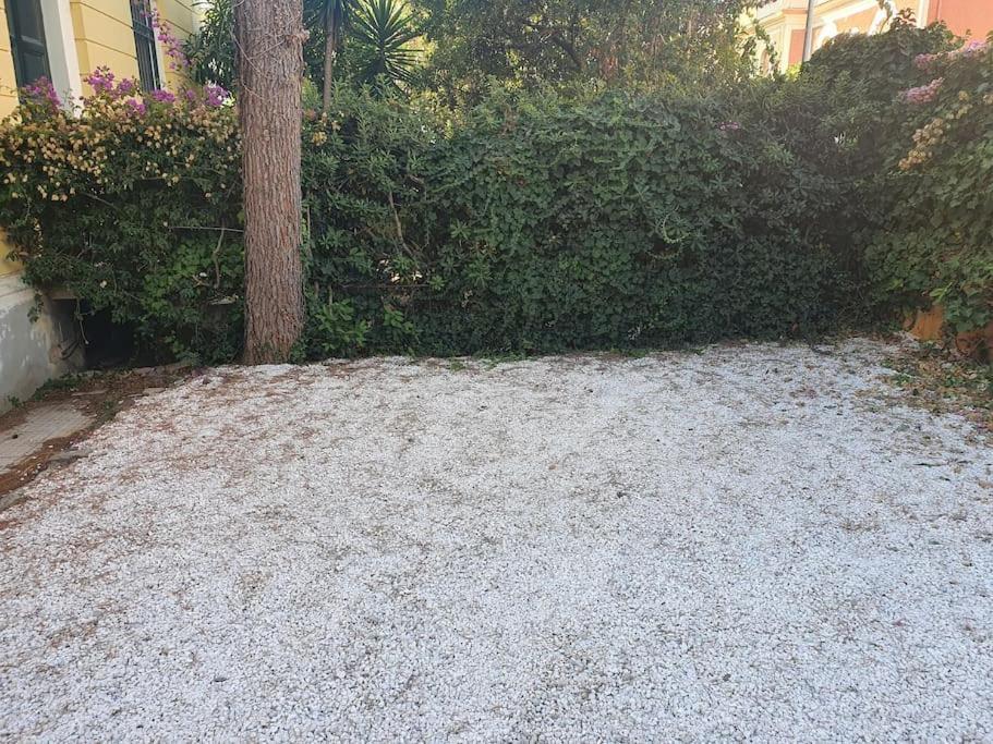 Suite La Marinella Localita Caccia Riserva Santa Marinella Bagian luar foto